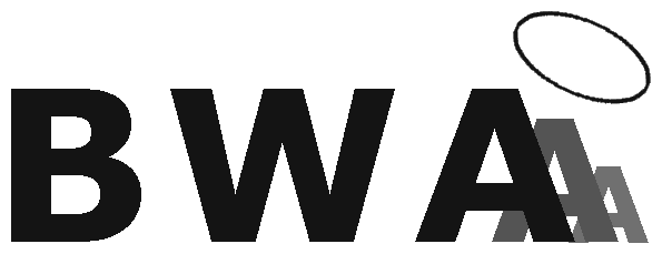 Logo Bizweb Angel